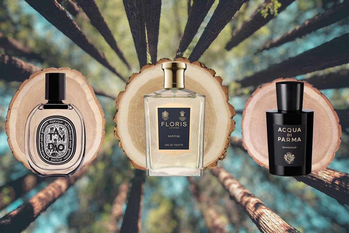 3 different branded sandalwood cologne bottles, each bottle placed separately in front of the cut end faces of 3 individual wooden logs, depicted in a forest.