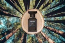 A bottle of Tom Ford Oud Wood in front of a freshly cut wooden log depicted in the forest.