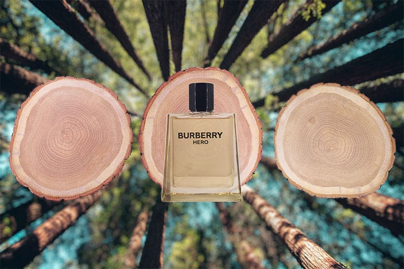 A bottle of Burberry Hero EDT in front of 3 freshly cut wooden logs with a forest background.