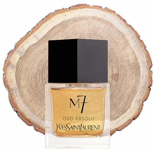 A bottle of Yves Saint Laurent M7 Oud Absolu in front of the fresh cut end face of an oud wooden log.