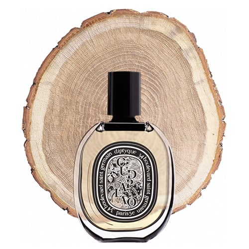 A bottle of Diptyque Oud Palao in front of the fresh cut end face of an oud wooden log.