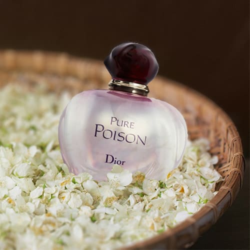 A bottle of Dior Pure Poison resting on a bed of jasmine flowers in a round woven basket.