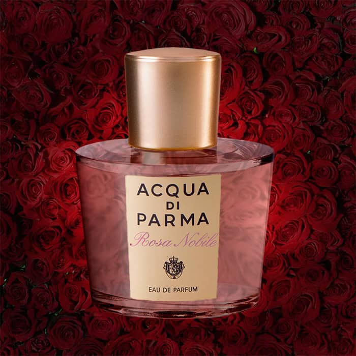 A close-up of an illuminated bottle of Acqua Di Parma Rosa Nobile with a dense wall of dark red roses in the background.