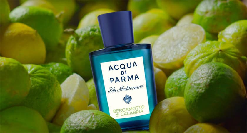 A closeup of a bottle of Acqua Di Parma Blu Mediterraneo Bergamotto di Calabria that has been placed in a pile of freshly cut bergamot citrus fruits.