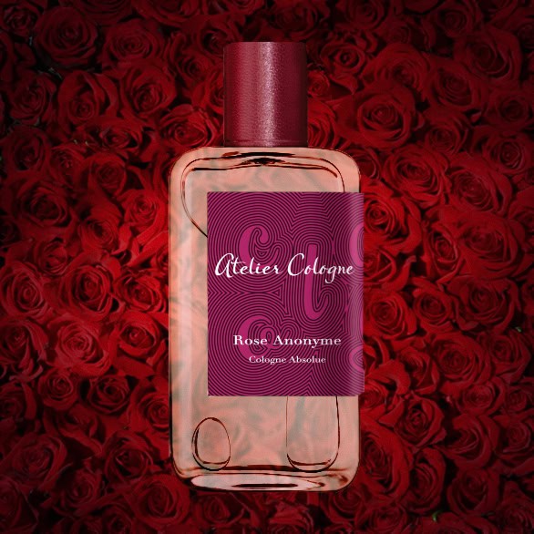 A close-up of an illuminated bottle of Atelier Cologne Rose Anonyme with a dense wall of dark red roses in the background.