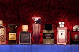 A selection of 7 bottles of the best rose perfumes from various brands. The bottles are lined up sitting on top of a pink brick wall. The bottles are individually illumined in the dim lighting with a dense wall of dark red roses in the background.