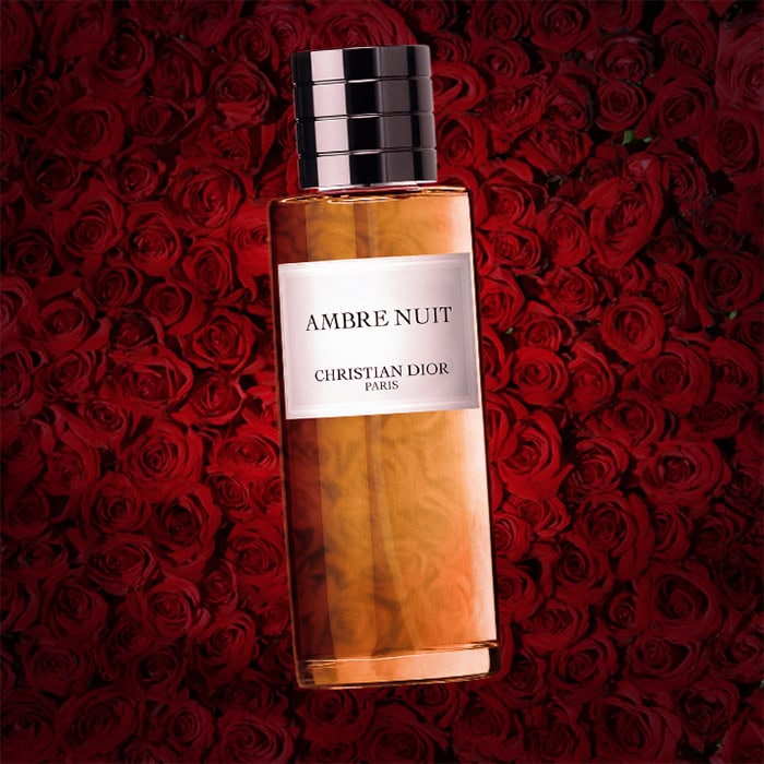 A close-up of an illuminated bottle of Maison Christian Dior Ambre Nuit with a dense wall of dark red roses in the background.