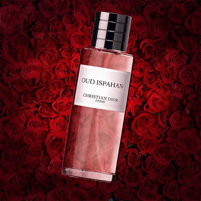 A close-up of an illuminated bottle of Maison Christian Dior Oud Ispahan with a dense wall of dark red roses in the background.