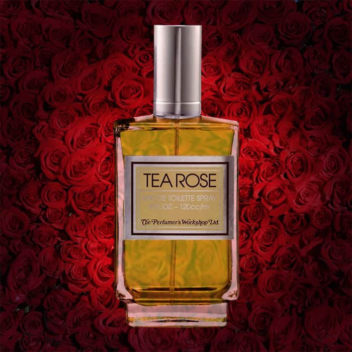 A close-up of an illuminated bottle of Perfumers Workshop Tea Rose with a dense wall of dark red roses in the background.