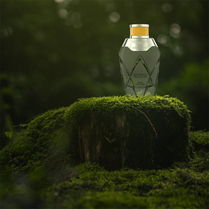 A close-up of a bottle of Bentley Wild Vetiver sitting on top of an old green moss-covered tree stump in the forest.