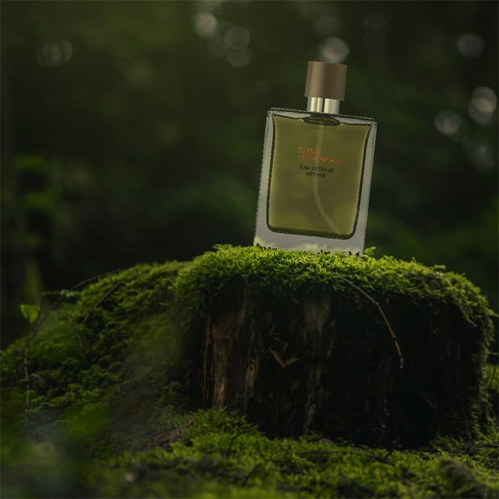 A close-up of a bottle of Hermes Terre d’Hermes Eau Intense Vetiver sitting on top of an old green moss-covered tree stump in the forest.