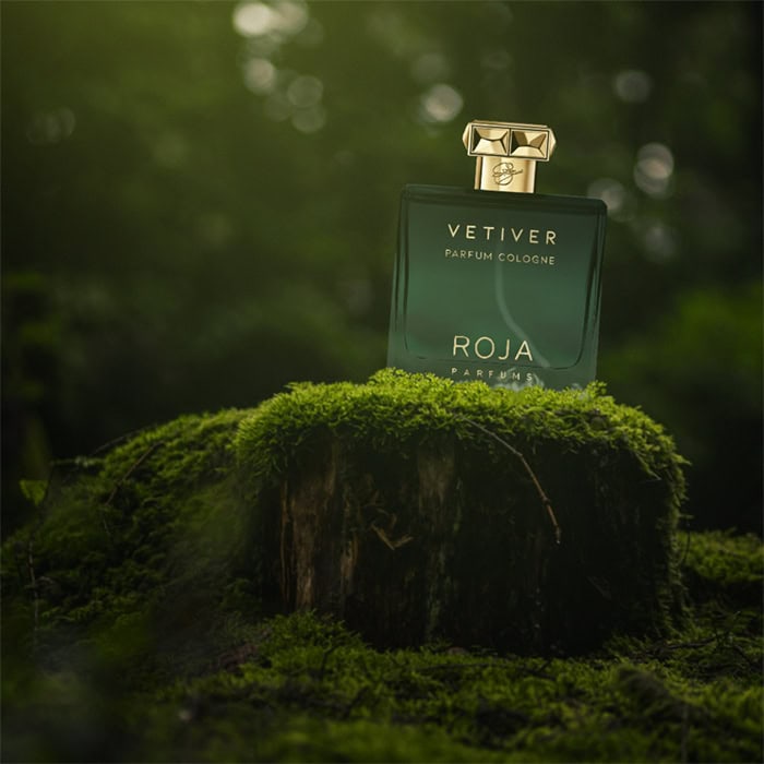 A close-up of a bottle of Roja Parfums Vetiver Parfum Cologne sitting on top of an old green moss-covered tree stump in the forest.