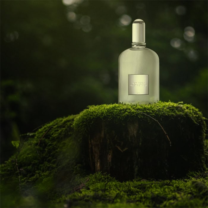 A close-up of a bottle of Tom Ford Grey Vetiver EDP sitting on top of an old green moss-covered tree stump in the forest.